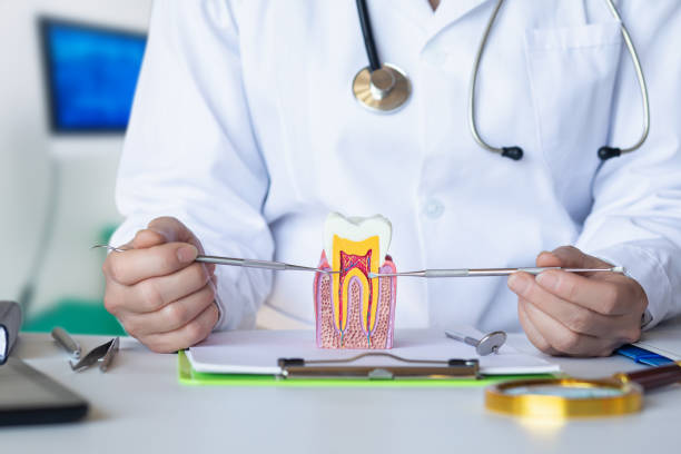 Best Urgent Dental Care for Toothache in Ellport, PA